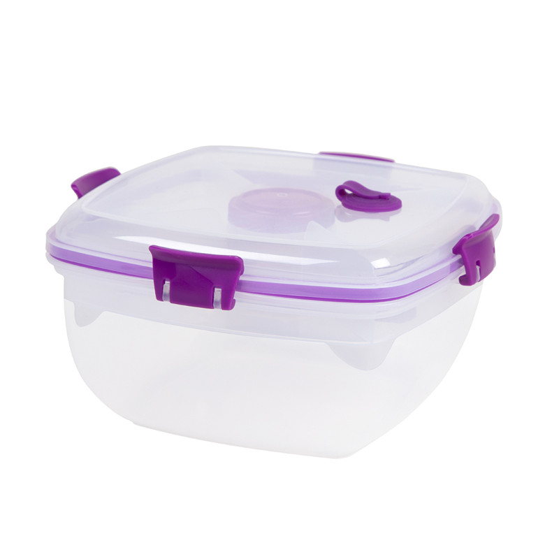BPA-freier Kunststoff Einfacher Mitnahmebehälter mit Gabel und Teller für das Mittagessen